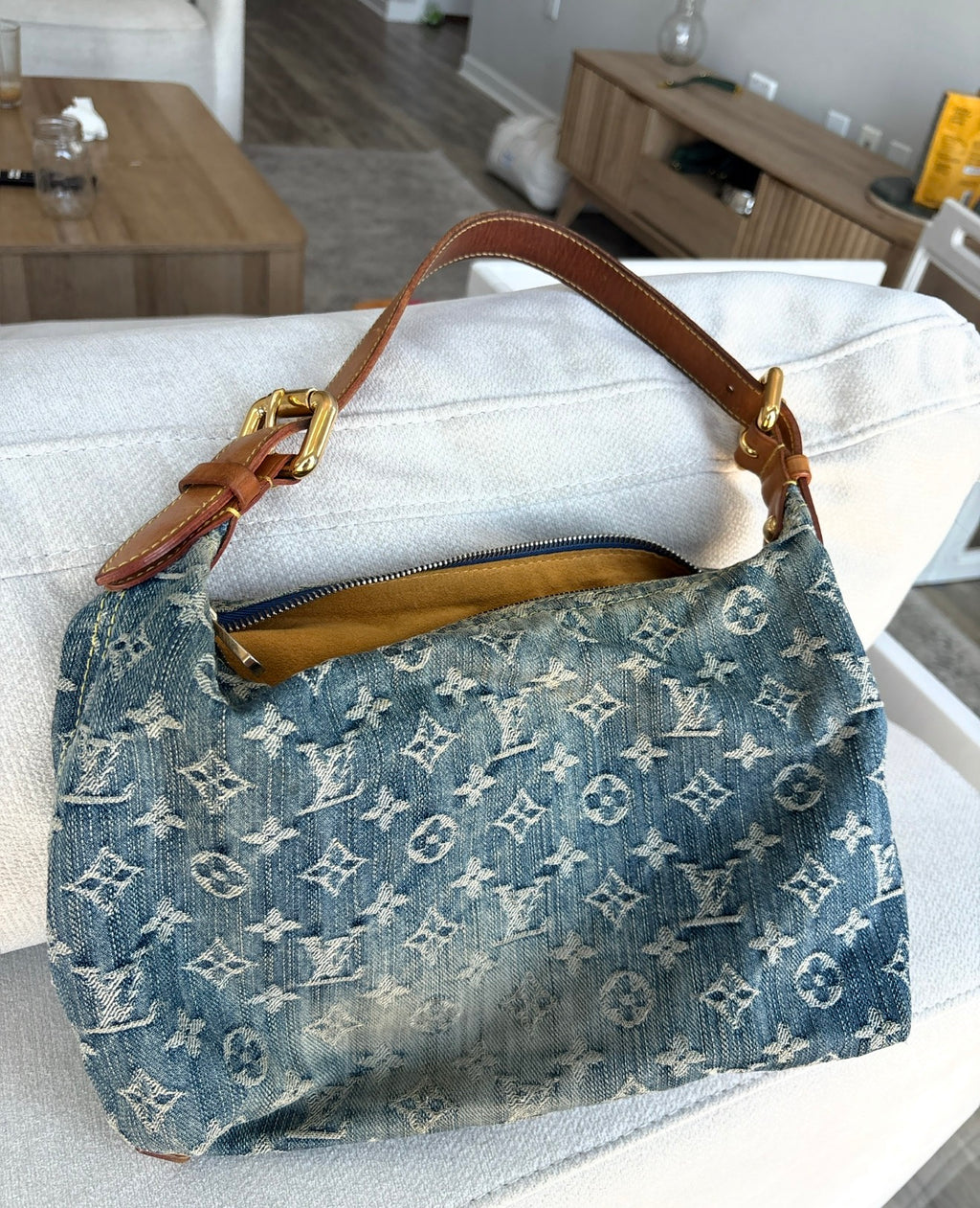 Louis Vuitton Denim Baggy PM